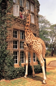 Giraffe Manor Hotel - Kenya - África
